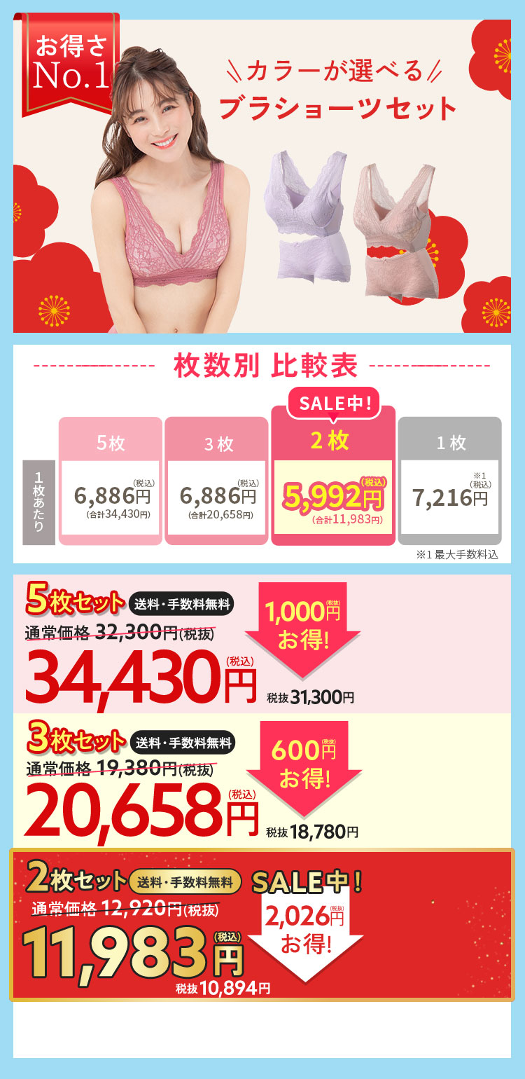 ブラ＆ショーツ5枚セット　通常価格31330円（税込35530円） 3553円（税込）お得！29070円（税込31997円） 1枚6460円（税込7106円）×5枚 手数料無料 送料無料 お好きなカラーが選べる