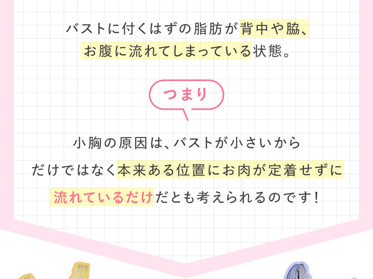 バストに付くはずの脂肪が流れてしまっている状態。 つまり 小胸の原因は、バストが小さいからだけではなく本来ある位置にお肉が定着せずに流れているだけだとも考えられるのです！ 