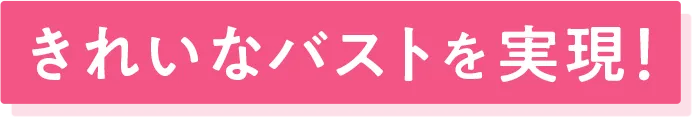 綺麗なバストを実現