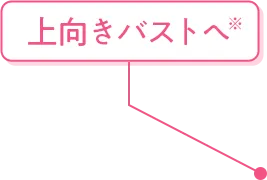 上向きバストへ