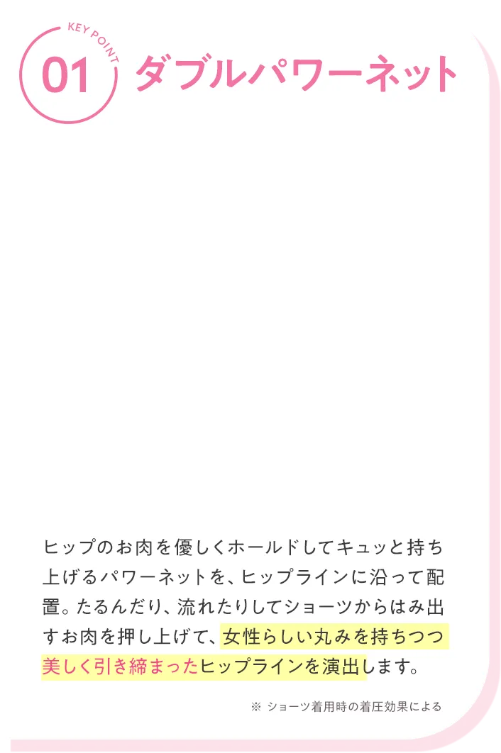 ダブルパワーネット