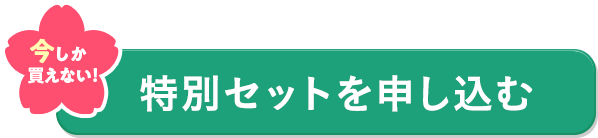 スペシャルセット