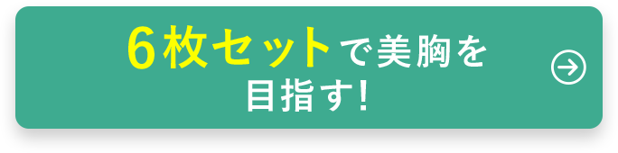 6枚セットで美胸を目指す！