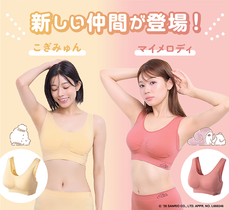 新しい仲間が登場