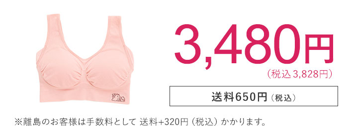 2,980円 （税込3,278円） 送料650円（税込） ※離島のお客様は手数料として送料+320円（税込）かかります。