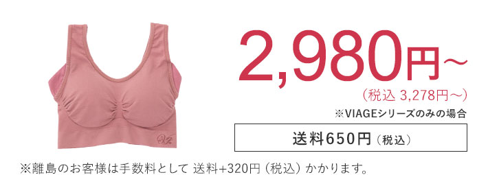 2,980円 （税込3,278円） 送料650円（税込） ※離島のお客様は手数料として送料+320円（税込）かかります。