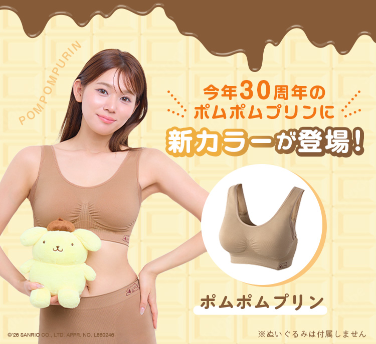 新しい仲間が登場