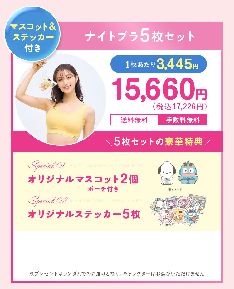 14,900円（税込16,300円）が10％OFF 1,639円（税込）おトク！ 13,410円（税込14,751円） 送料無料 手数料無料 5枚セット限定特典 フェイスパック3枚 洗濯ネット3枚