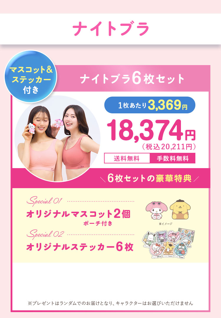 15,734円（税込17,307円）が12％OFF 2,361円（税込）おトク！ 送料無料 手数料無料 5枚セット限定特典 フェイスパック3枚 洗濯ネット3枚