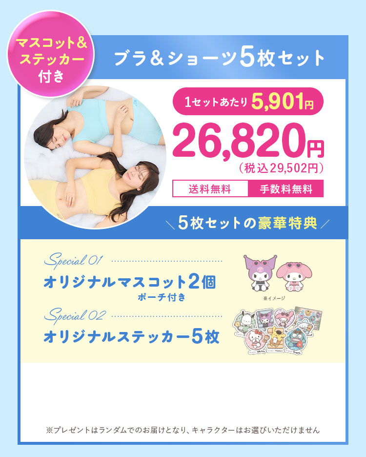 24,800円（税込27,280円）が10％OFF 2,728円（税込）おトク！ 22,320円（税込24,552円） 送料無料 手数料無料 5枚セット限定特典 フェイスパック3枚 洗濯ネット3枚