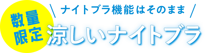数量限定夏用ナイトブラ