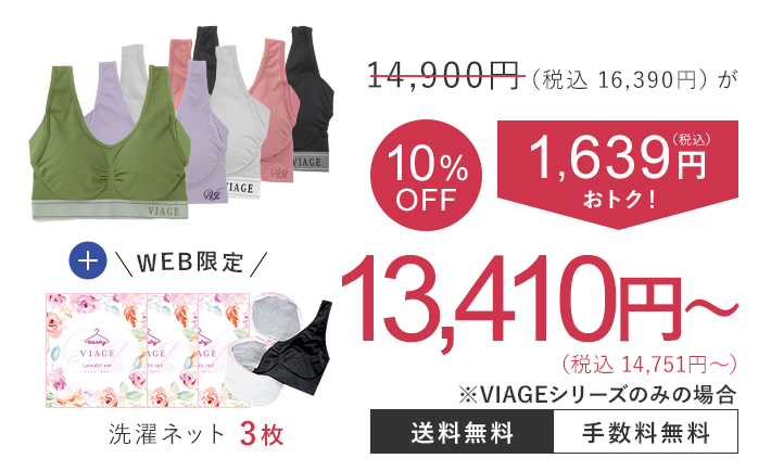 14,900円（税込16,300円）が10％OFF 1,639円（税込）おトク！ 13,410円（税込14,751円） 送料無料 手数料無料 5枚セット限定特典 フェイスパック3枚 洗濯ネット3枚