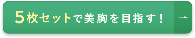 5枚セットで美胸を目指す！