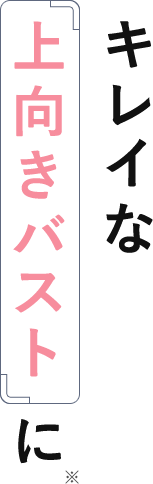 理想の丸みバストをキープ