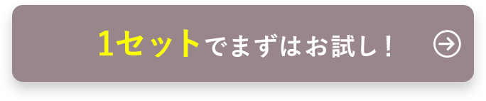 1セットでまずはお試し！