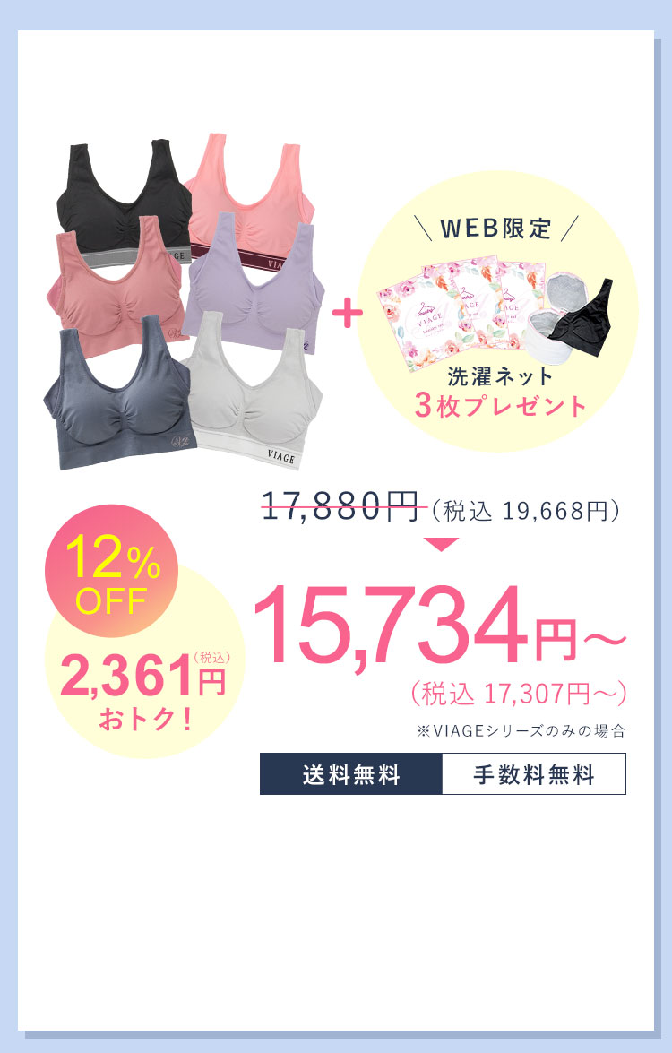 14,900円（税込16,300円）が10％OFF 1,639円（税込）おトク！ 13,410円（税込14,751円） 送料無料 手数料無料 5枚セット限定特典 フェイスパック3枚 洗濯ネット3枚