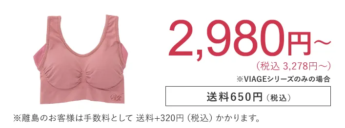 2,980円 （税込3,278円） 送料650円（税込） ※離島のお客様は手数料として送料+320円（税込）かかります。