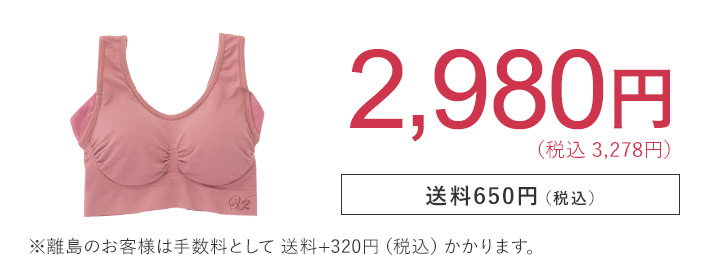 2,980円 （税込3,278円） 送料650円（税込） ※離島のお客様は手数料として送料+320円（税込）かかります。