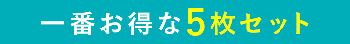 一番お得な5枚セット