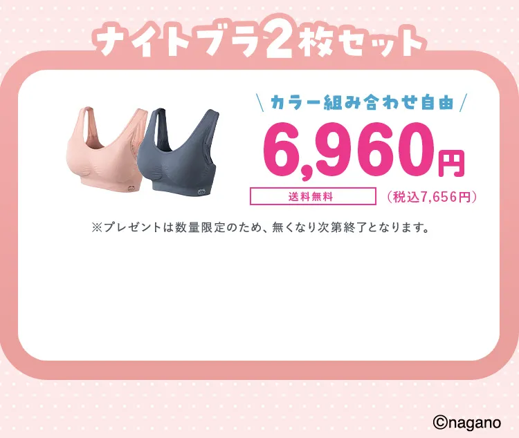 ナイトブラ2枚セット 6,960円