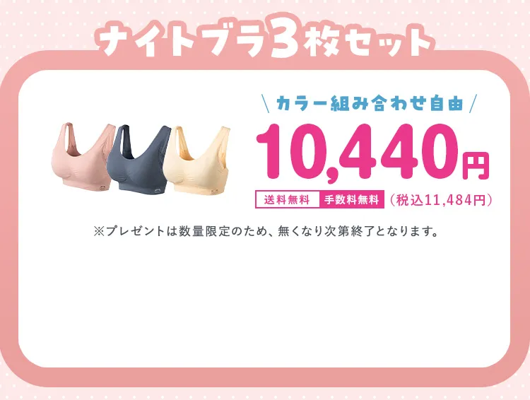 ナイトブラ3枚セット 10,440円
