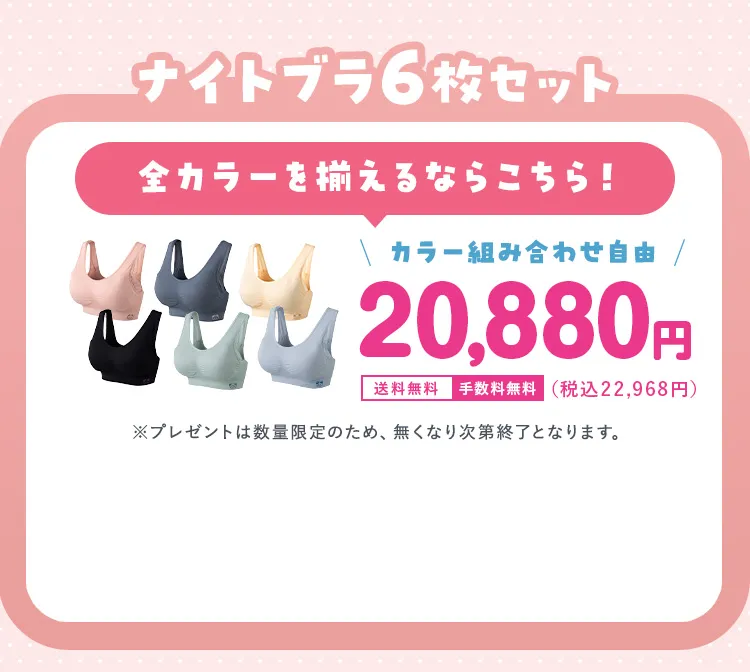 ナイトブラ6枚セット 20,880円