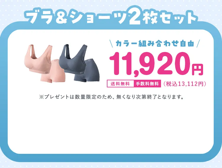 ブラ＆ショーツ2枚セット 11,920円