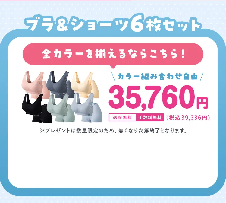 ブラ＆ショーツ6枚セット 35,760円