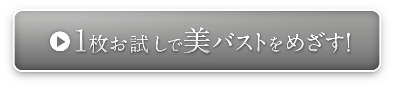 1枚で申し込む