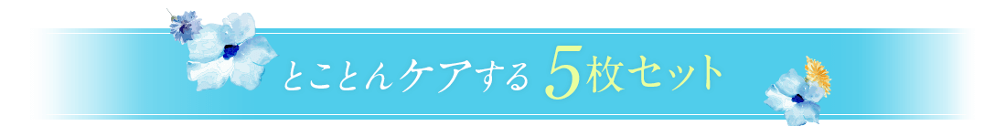 とことんケアする5枚セット
