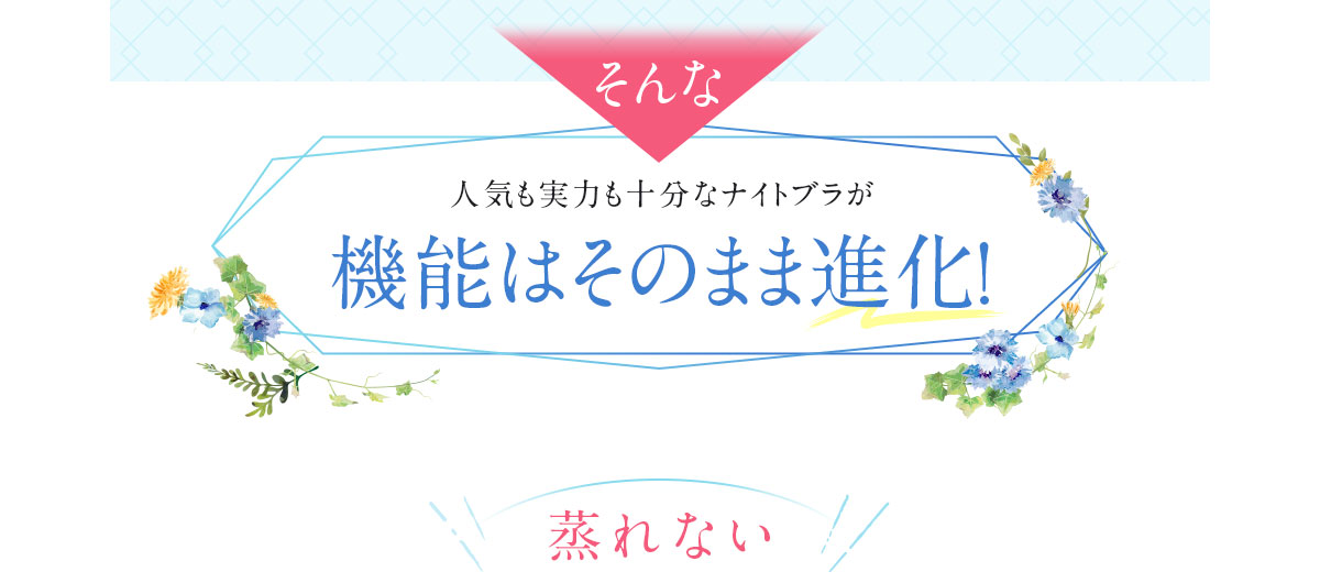 ベースとなったのは大人気の実力派ナイトブラ ヴィアージュ ビューティアップナイトブラ 人気も実力も十分なナイトブラが機能はそのまま進化！