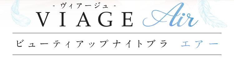 VIAGE ビューティアップナイトブラ エアー